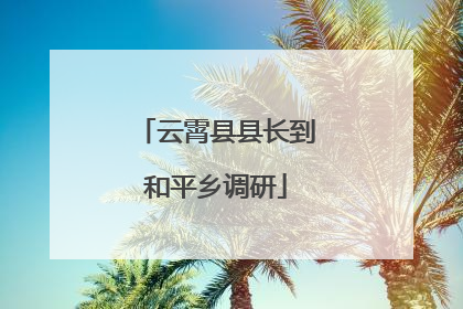 云霄县县长到和平乡调研