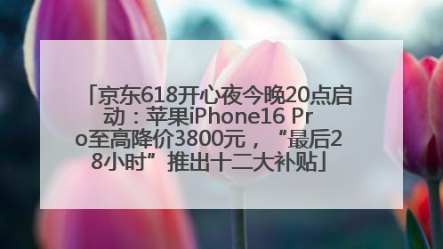 京东618开心夜今晚20点启动：苹果iPhone16 Pro至高降价3800元，“最后28小时”推出十二大补贴