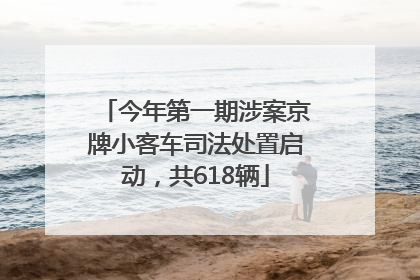 今年第一期涉案京牌小客车司法处置启动，共618辆