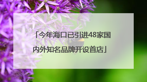 今年海口已引进48家国内外知名品牌开设首店