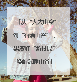 从“人去山空”到“客满山谷”，黑麋峰“新村民”唤醒沉睡山谷