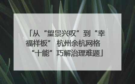 从“望景兴叹”到“幸福样板” 杭州余杭网格“十能”巧解治理难题