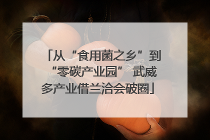 从“食用菌之乡”到“零碳产业园” 武威多产业借兰洽会破圈