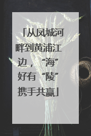 从凤城河畔到黄浦江边，“海”好有“陵”携手共赢