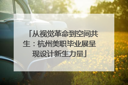 从视觉革命到空间共生：杭州美职毕业展呈现设计新生力量