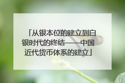 从银本位的建立到白银时代的终结——中国近代货币体系的建立