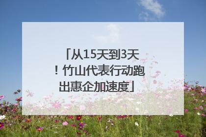 从15天到3天！竹山代表行动跑出惠企加速度