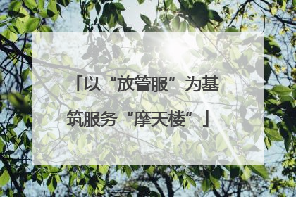 以“放管服”为基筑服务“摩天楼”