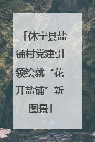 休宁县盐铺村党建引领绘就“花开盐铺”新图景