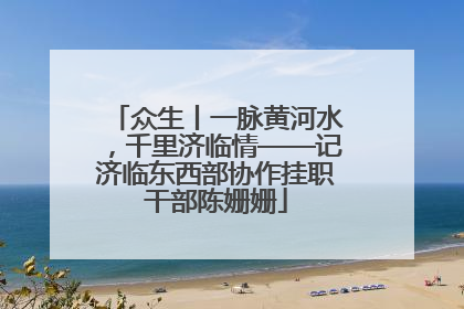 众生丨一脉黄河水，千里济临情——记济临东西部协作挂职干部陈姗姗