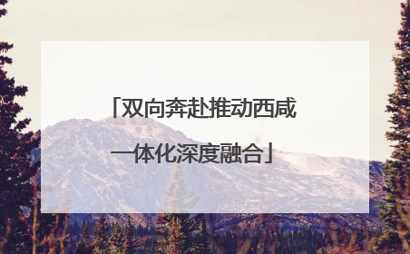 双向奔赴推动西咸一体化深度融合