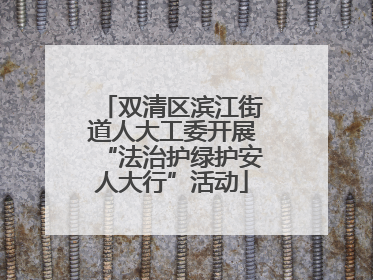 双清区滨江街道人大工委开展“法治护绿护安人大行”活动