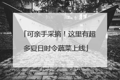 可亲手采摘！这里有超多夏日时令蔬菜上线