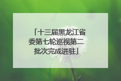 十三届黑龙江省委第七轮巡视第二批次完成进驻