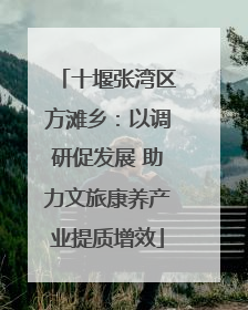 十堰张湾区方滩乡：以调研促发展 助力文旅康养产业提质增效