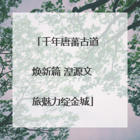 千年唐蕃古道焕新篇 湟源文旅魅力绽金城