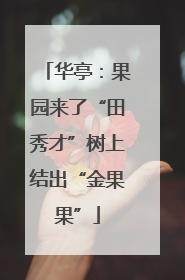 华亭：果园来了“田秀才”树上结出“金果果”
