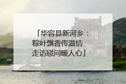 华容县新河乡：粽叶飘香传温情 走访慰问暖人心
