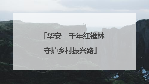 华安：千年红锥林守护乡村振兴路