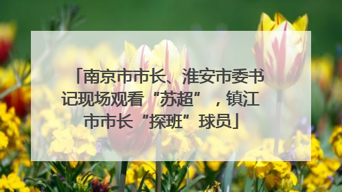 南京市市长、淮安市委书记现场观看“苏超”，镇江市市长“探班”球员