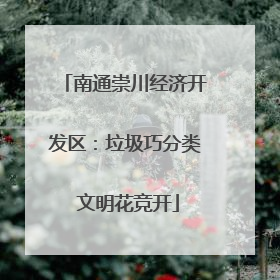 南通崇川经济开发区：垃圾巧分类 文明花竞开