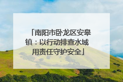 南阳市卧龙区安皋镇：以行动排查水域 用责任守护安全