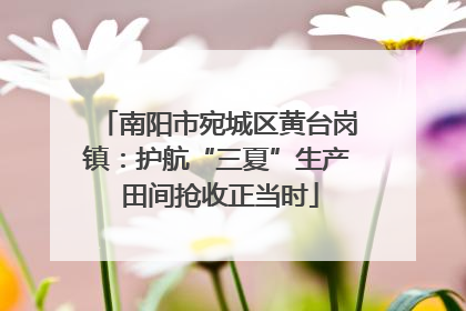 南阳市宛城区黄台岗镇：护航“三夏”生产 田间抢收正当时