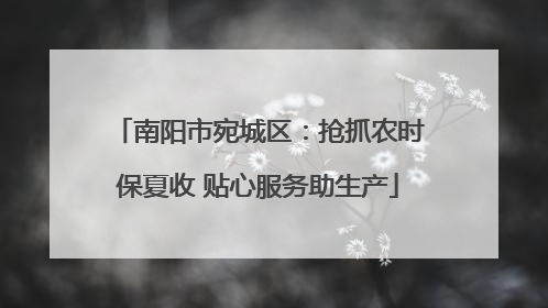 南阳市宛城区：抢抓农时保夏收 贴心服务助生产