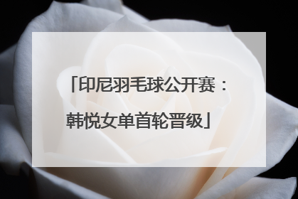印尼羽毛球公开赛：韩悦女单首轮晋级