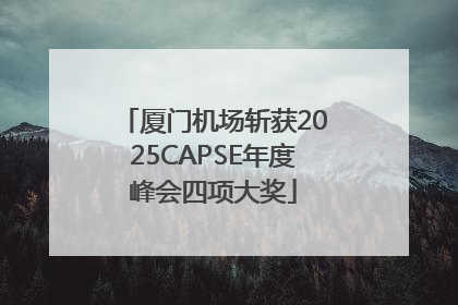 厦门机场斩获2025CAPSE年度峰会四项大奖