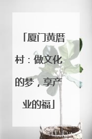 厦门黄厝村：做文化的梦，享产业的福