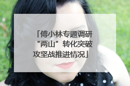 傅小林专题调研“两山”转化突破攻坚战推进情况