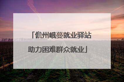 儋州峨蔓就业驿站助力困难群众就业