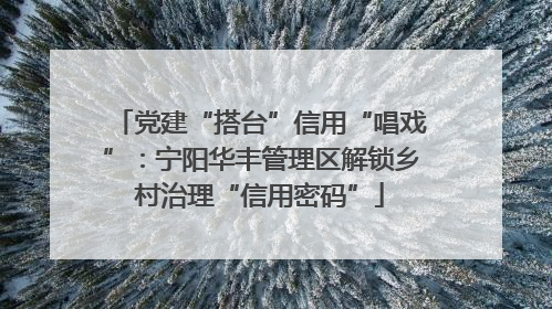 党建“搭台”信用“唱戏”：宁阳华丰管理区解锁乡村治理“信用密码”