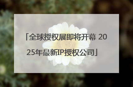全球授权展即将开幕 2025年最新IP授权公司