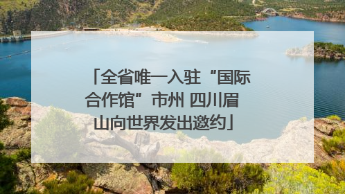 全省唯一入驻“国际合作馆”市州 四川眉山向世界发出邀约