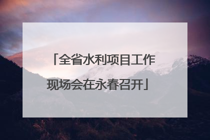 全省水利项目工作现场会在永春召开