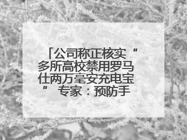 公司称正核实“多所高校禁用罗马仕两万毫安充电宝” 专家：预防手机没电选中等体积产品即可