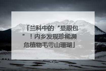 兰科中的“显眼包”！内乡发现珍稀濒危植物毛萼山珊瑚
