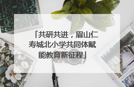 共研共进，眉山仁寿城北小学共同体赋能教育新征程