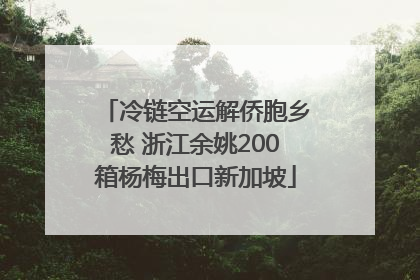 冷链空运解侨胞乡愁 浙江余姚200箱杨梅出口新加坡