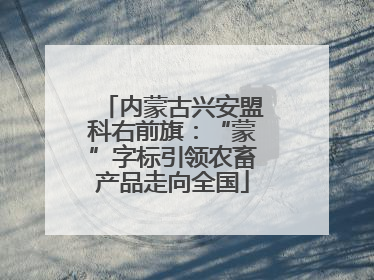 内蒙古兴安盟科右前旗：“蒙”字标引领农畜产品走向全国
