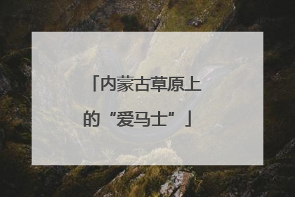 内蒙古草原上的“爱马士”