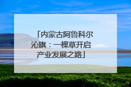 内蒙古阿鲁科尔沁旗：一棵草开启产业发展之路