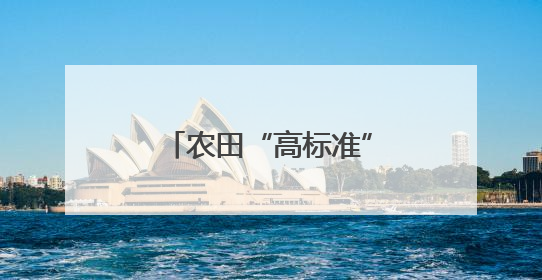 农田“高标准” 粮仓根基稳