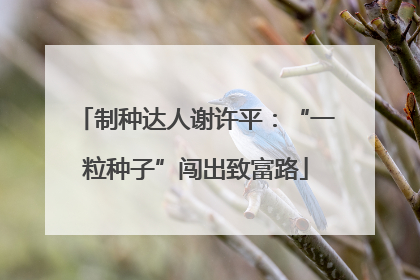 制种达人谢许平：“一粒种子”闯出致富路