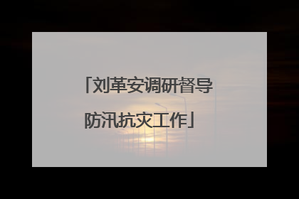 刘革安调研督导防汛抗灾工作
