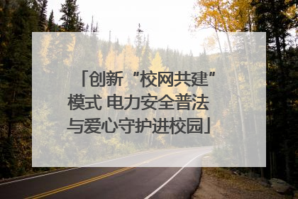创新“校网共建”模式 电力安全普法与爱心守护进校园