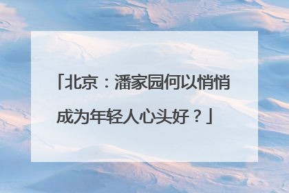 北京：潘家园何以悄悄成为年轻人心头好？