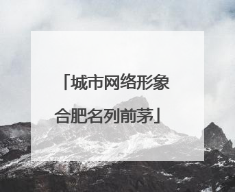 城市网络形象合肥名列前茅